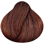 MORFOSE PROFESSIONAL 5.34- Dark Copper Brown 3.38 Fl. Oz.