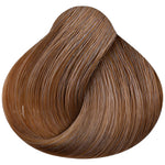 MORFOSE PROFESSIONAL 7.35- Hot Chocolate Brown 3.38 Fl. Oz.