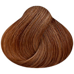 MORFOSE PROFESSIONAL 8.73- Hot Cappuccino Brown 3.38 Fl. Oz.