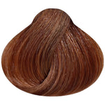 MORFOSE PROFESSIONAL 8.74- Mocha Brown 3.38 Fl. Oz.